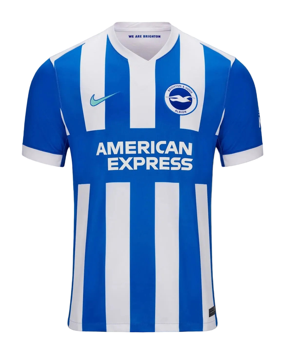 Brighton & Howe Albion Home
